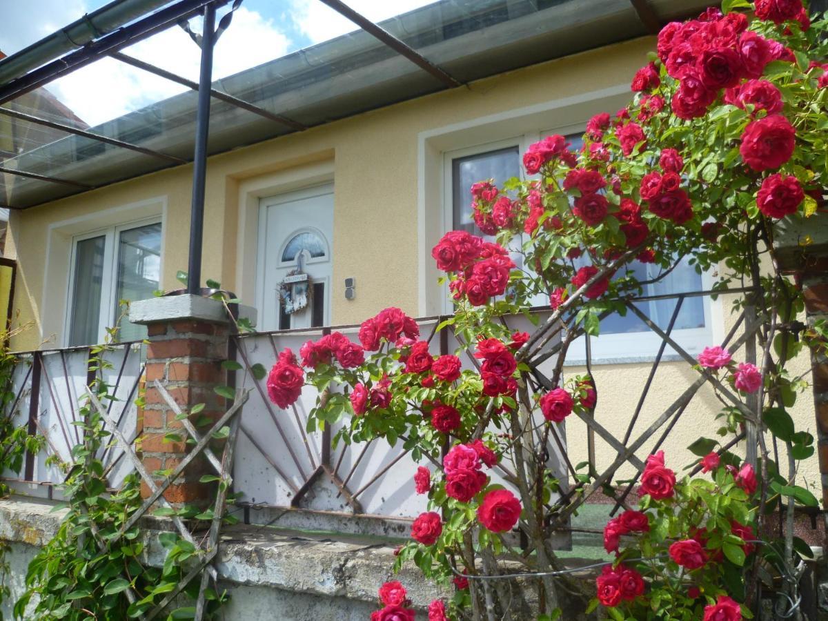 Ferienhaus 1 Эльбингероде Экстерьер фото